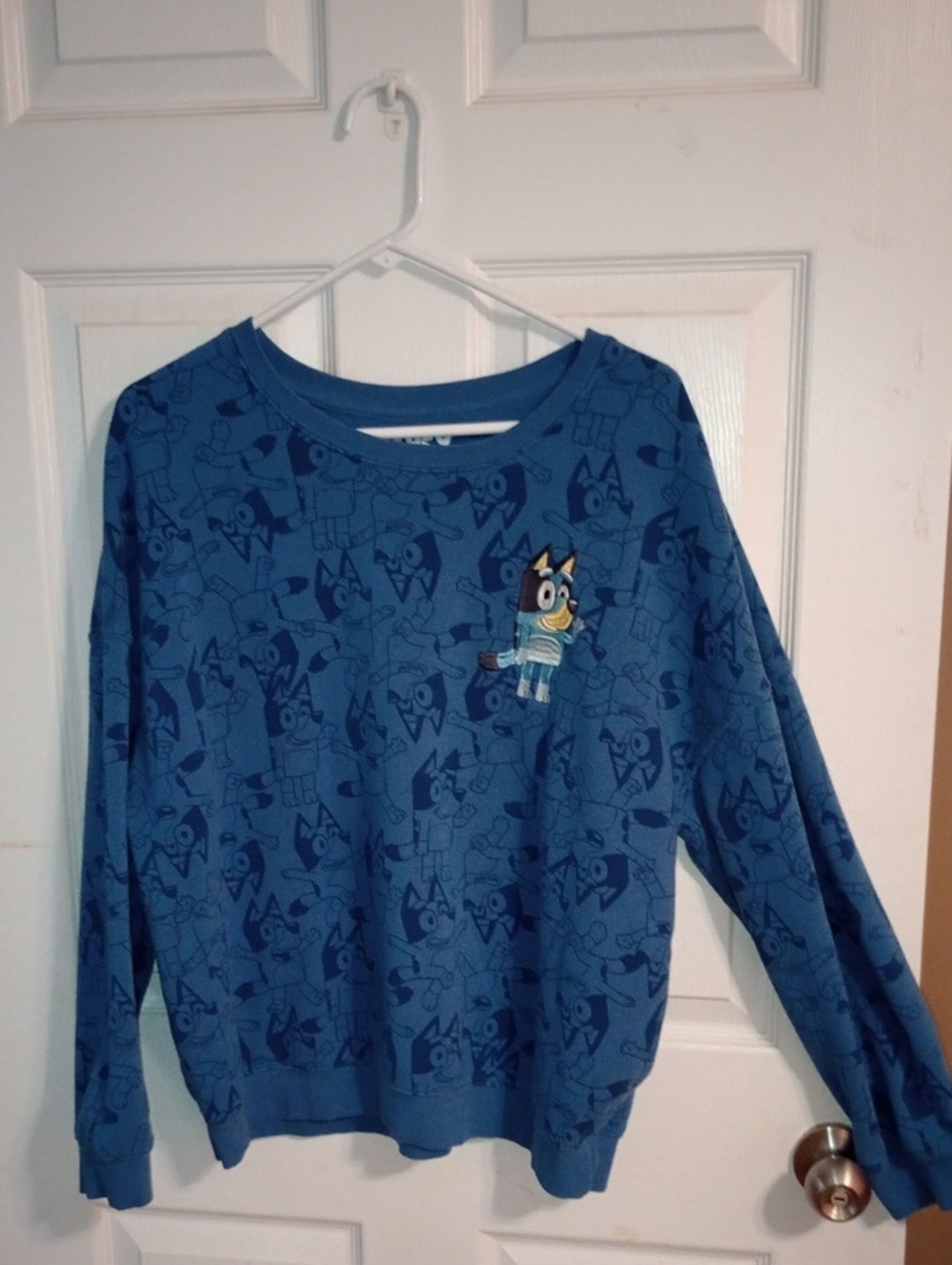 Bluey Cartoon-Print Crewneck Sweatshirt for Women - Animated Graphic